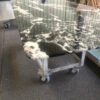07 方桌局部